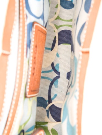 Coach Raffia Top Handle Bag