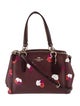 Coach Top Handle Bag