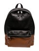 Coach Leather Backpack