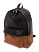Coach Leather Backpack