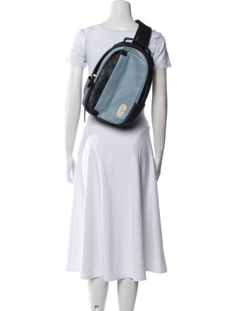 Coach Leather Backpack