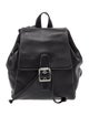 Coach Leather Backpack