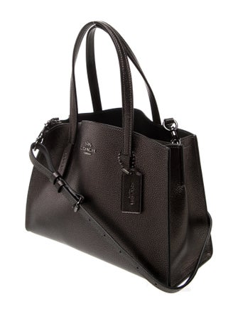 Coach Skull Top Handle Bag