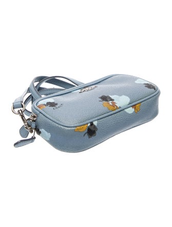 Coach Leather Crossbody Bag