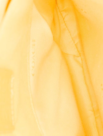 Coach Leather Crossbody Bag