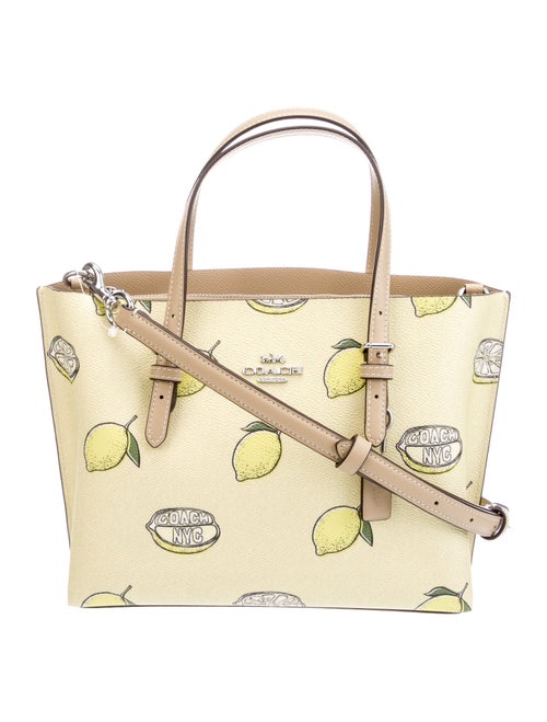 Coach Leather Top Handle Bag