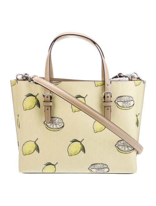 Coach Leather Top Handle Bag