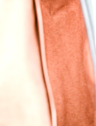 Coach Signature Crossbody Bag