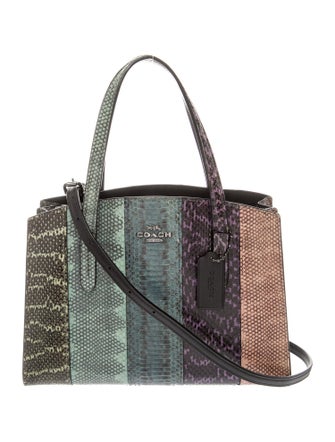 Coach Snakeskin Top Handle Bag