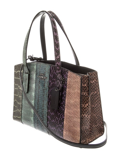 Coach Snakeskin Top Handle Bag