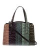Coach Snakeskin Top Handle Bag