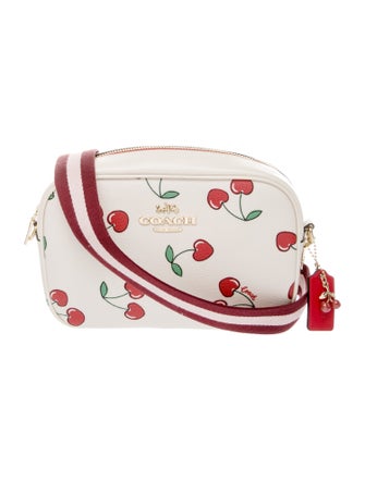 Coach Leather Crossbody Bag