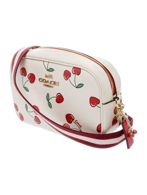 Coach Leather Crossbody Bag