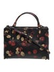 Coach Top Handle Bag