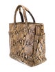 Coach Snakeskin Tote
