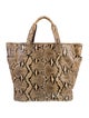 Coach Snakeskin Tote