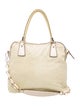Coach Embossed Leather Shoulder Bag