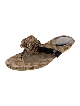 Coach Canvas Printed Slides