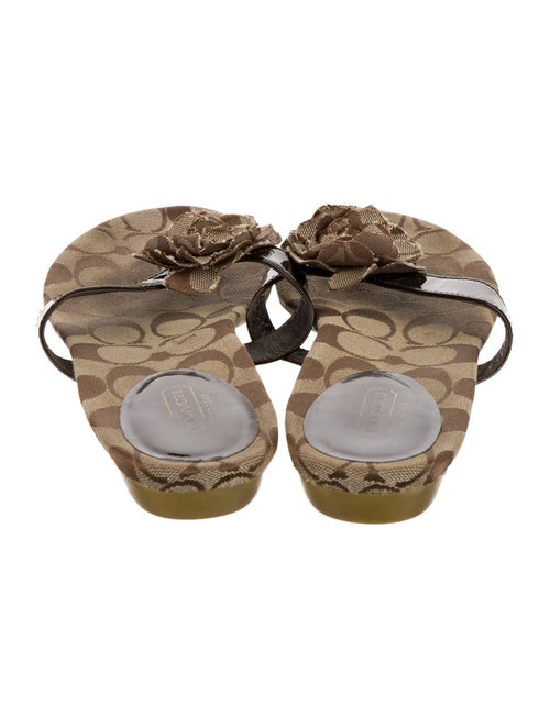 Coach Canvas Printed Slides