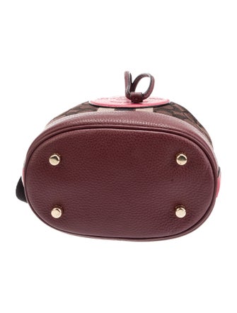 Coach Canvas Bucket Bag