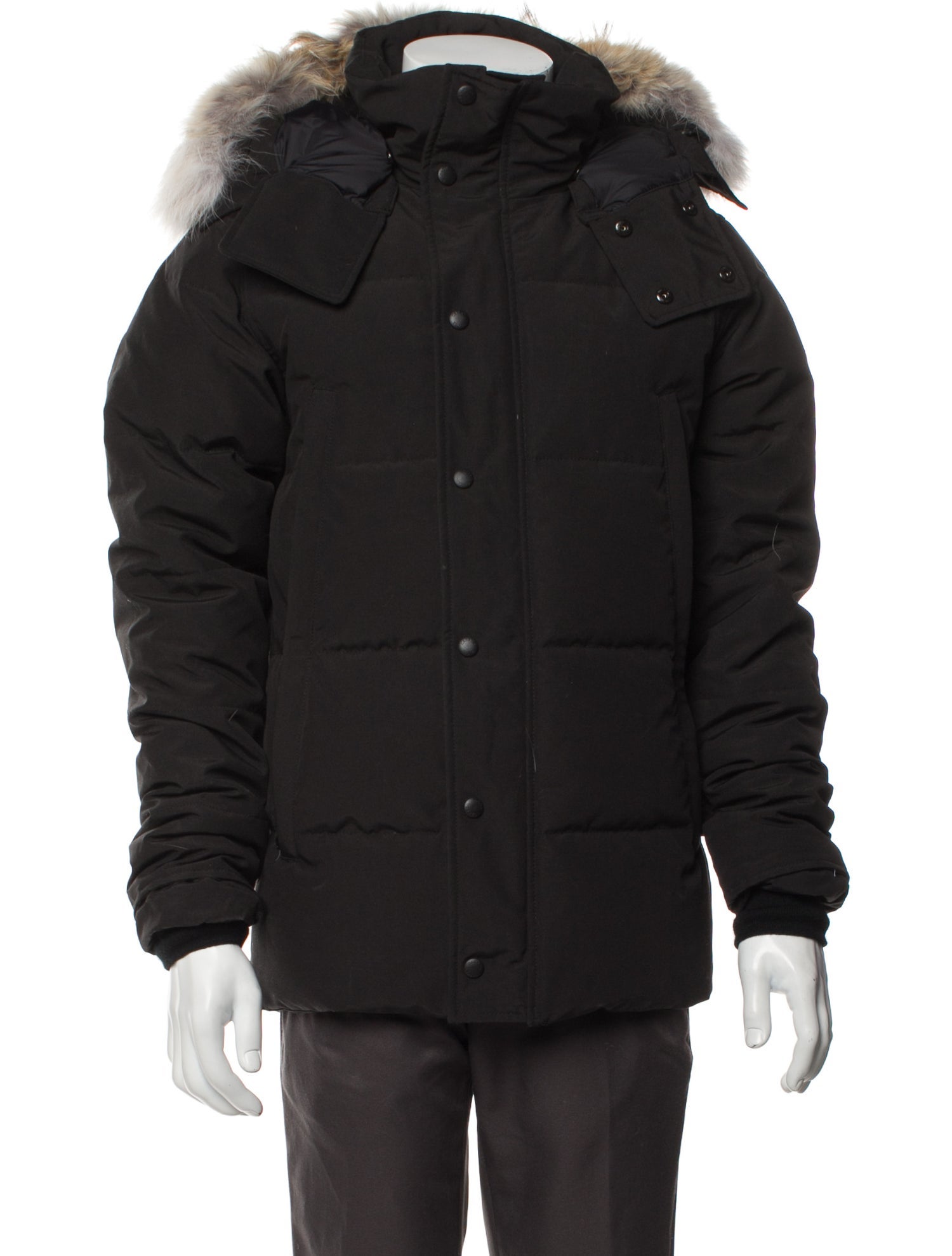 Canada Goose Puffer Coat