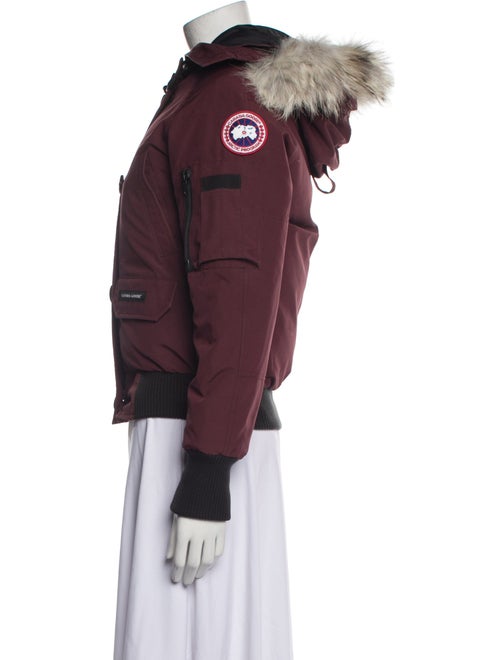 Canada Goose Down Coat