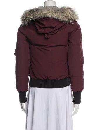 Canada Goose Down Coat