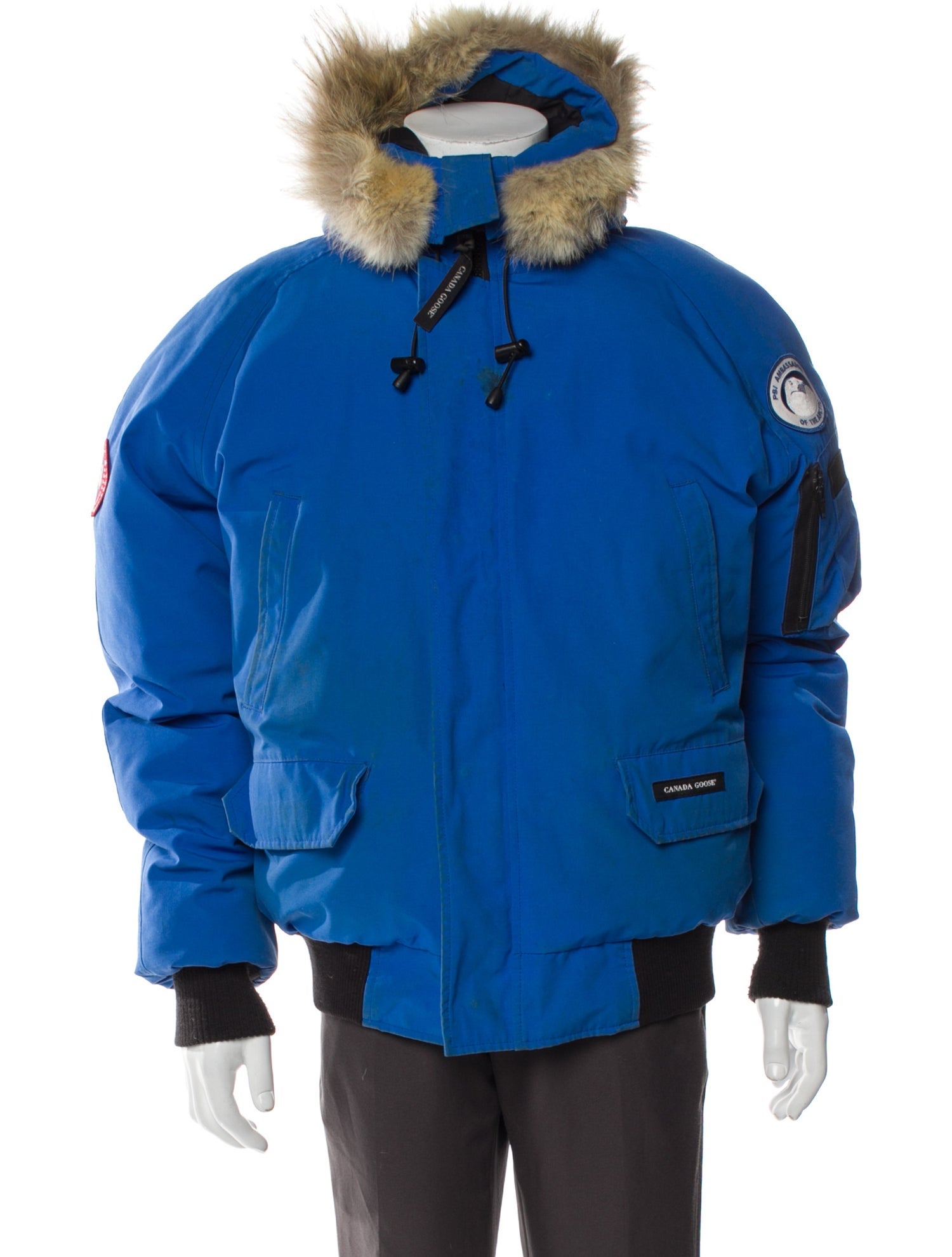 Canada Goose Graphic Print Parka