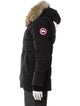 Canada Goose Puffer Coat