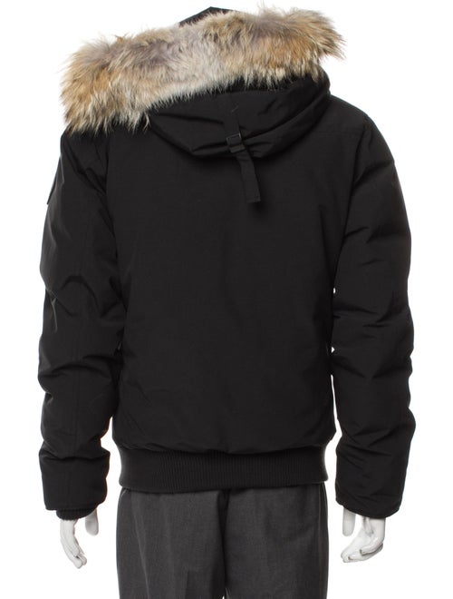 Canada Goose Puffer Coat