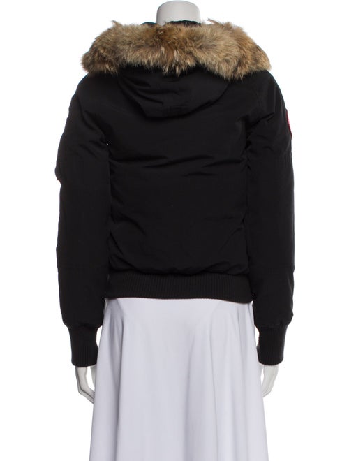 Canada Goose Down Jacket