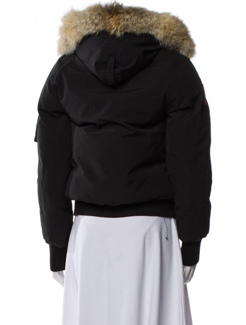 Canada Goose Chilliwack Down Jacket