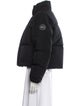 Canada Goose Down Coat