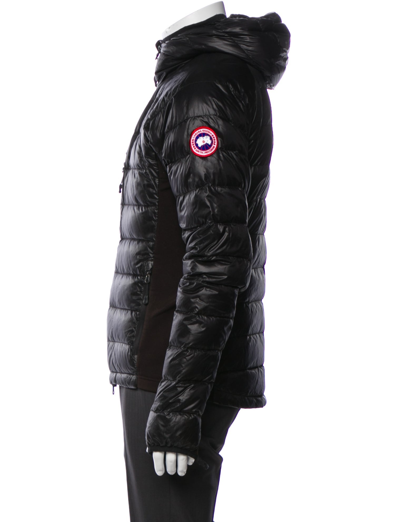 Canada Goose Puffer Coat