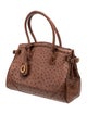 Cece Cord Ostrich Top Handle Bag