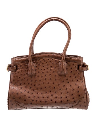 Cece Cord Ostrich Top Handle Bag