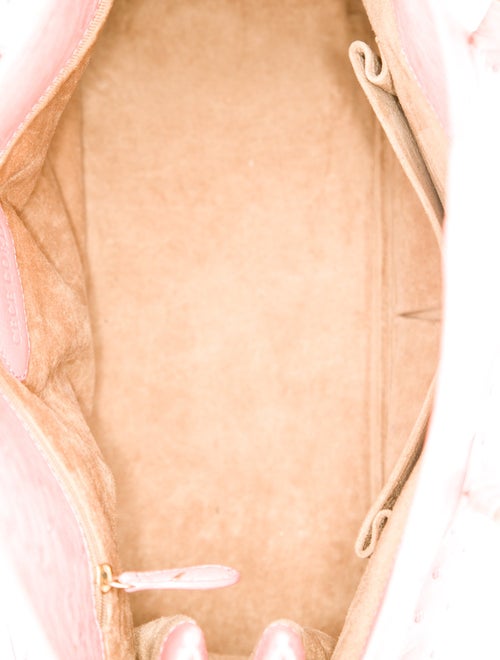 Cece Cord Ostrich Top Handle Bag