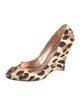 Casadei Animal Print D'Orsay Pumps