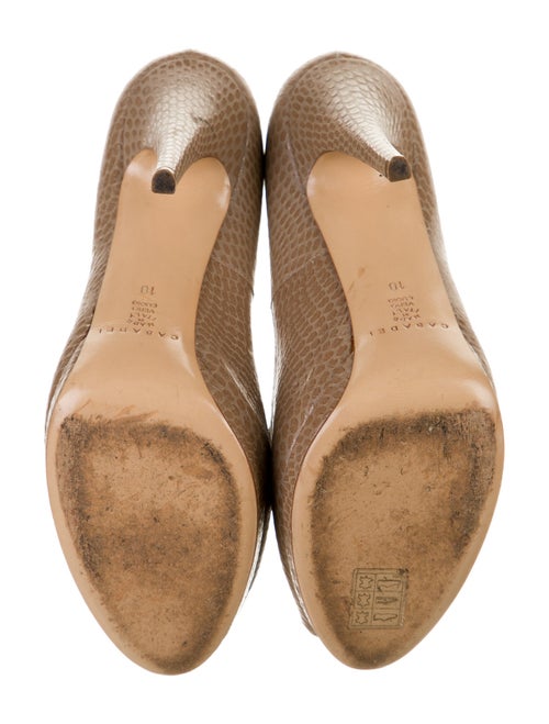 Casadei Leather Animal Print Pumps