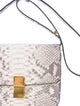 Celine Céline Python Box Bag