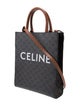 Celine 2021 Small Triomphe Vertical Cabas