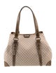 Celine Canvas Triomphe Vintage