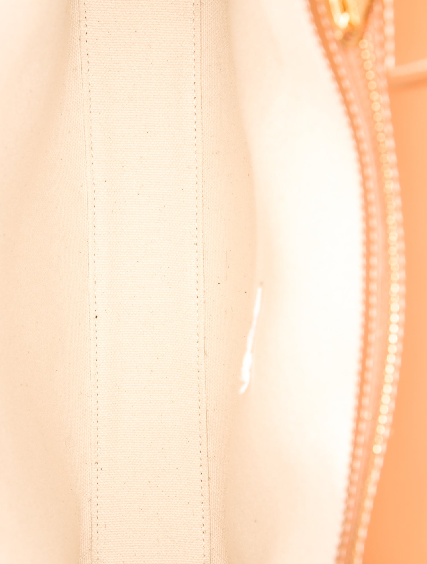 Celine Canvas Vertical Cabas Small 2022