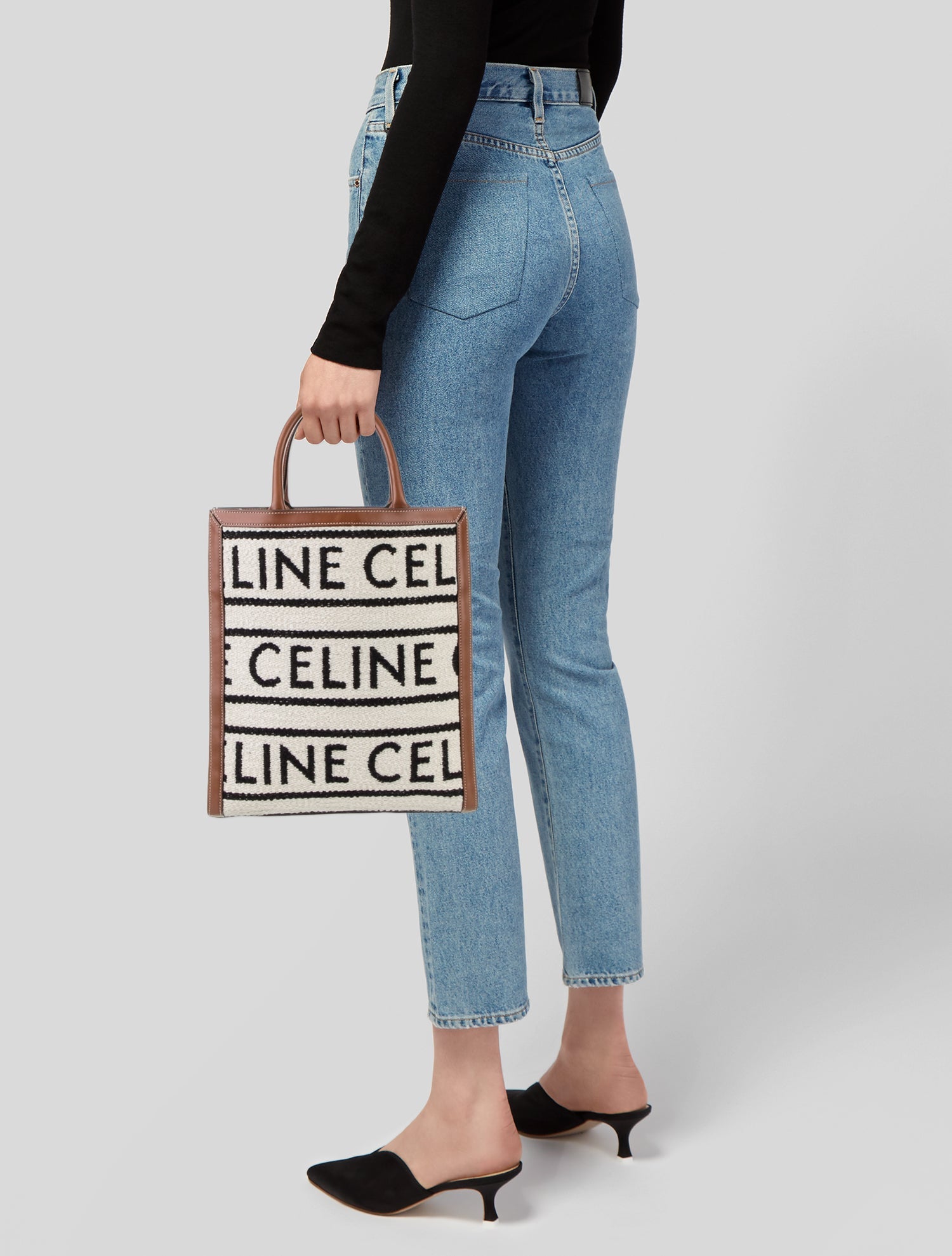 Celine Canvas Vertical Cabas Small 2022