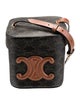 Celine Cuir Triomphe Box Bag 2022
