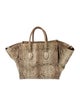 Celine Python Luggage Phantom Medium