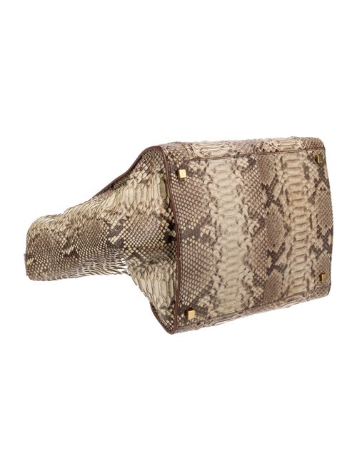 Celine Python Luggage Phantom Medium