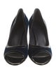 Celine Velvet Pumps