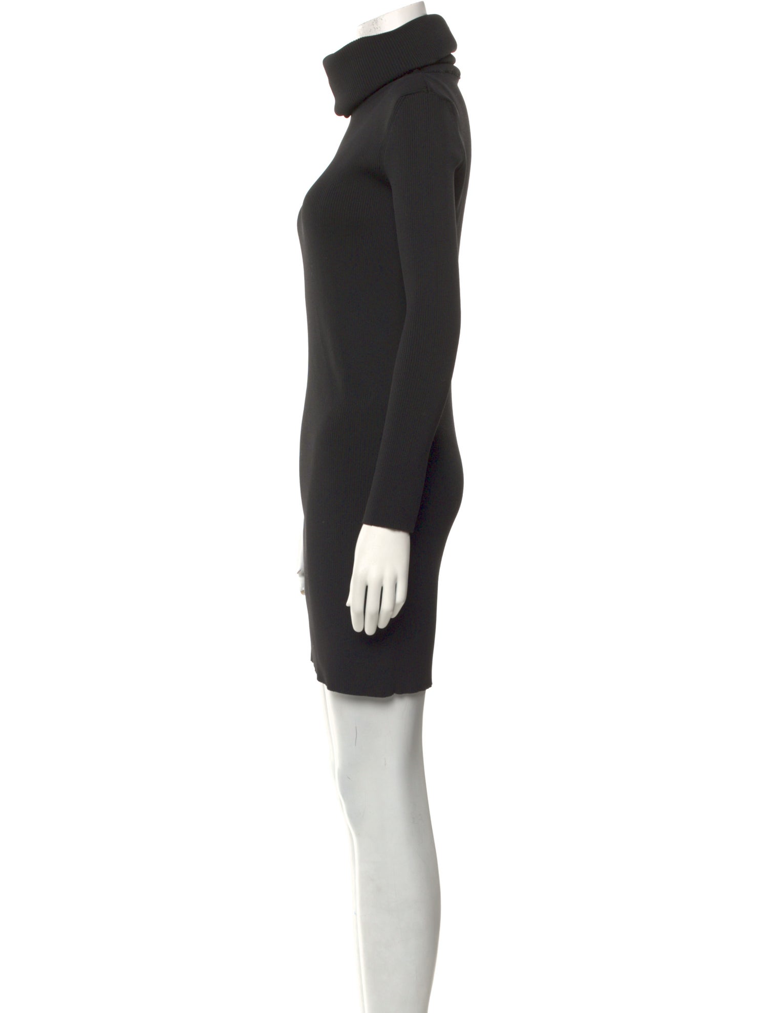Celine Turtleneck Mini Dress