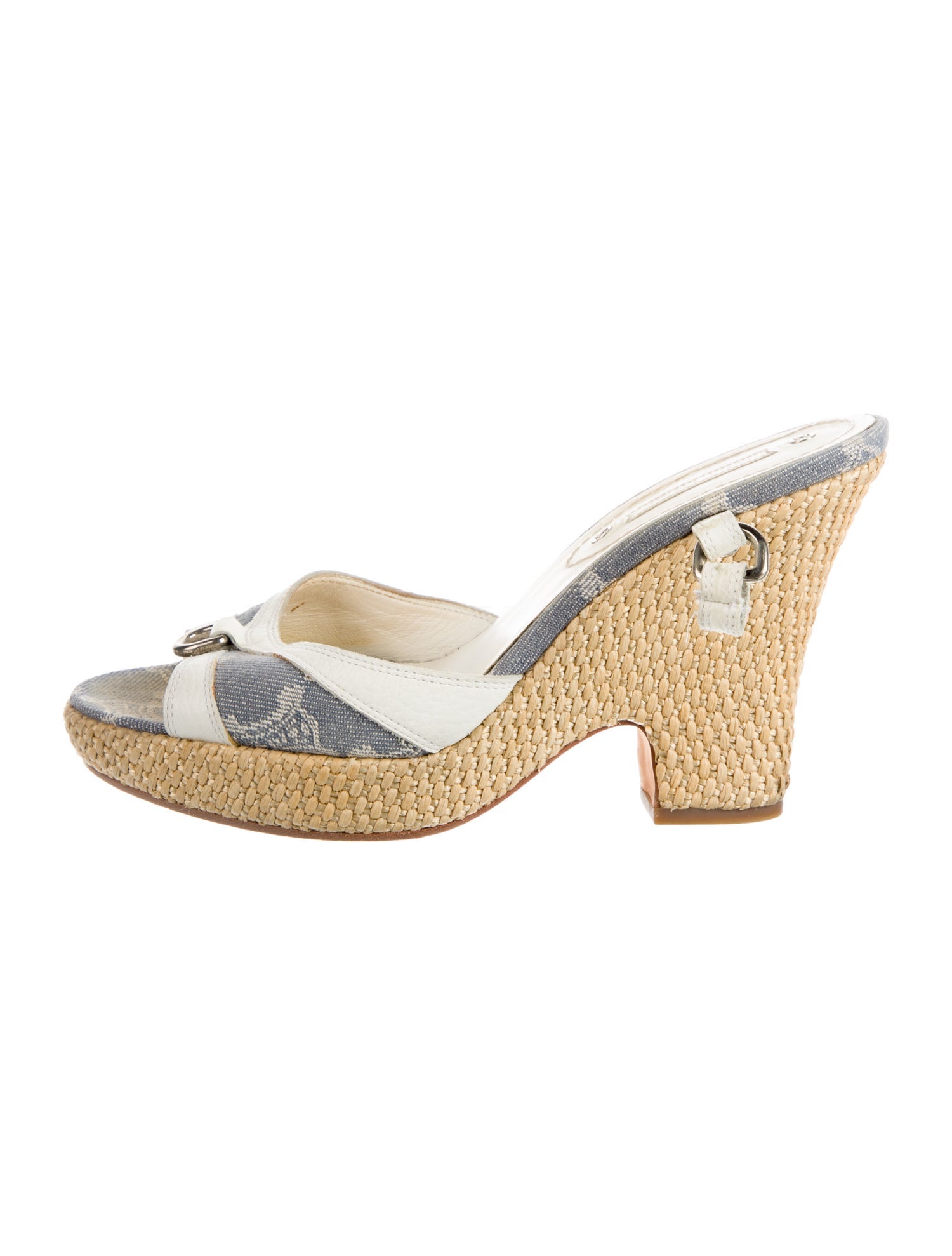 Celine Canvas Printed Slides